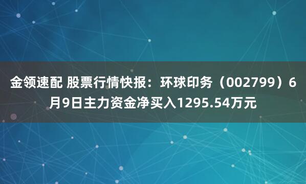 金领速配 股票行情快报：环球印务（002799）6月9日主力资金净买入1295.54万元