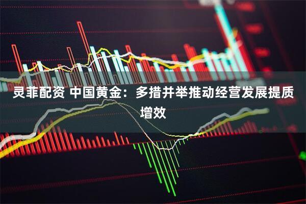 灵菲配资 中国黄金：多措并举推动经营发展提质增效