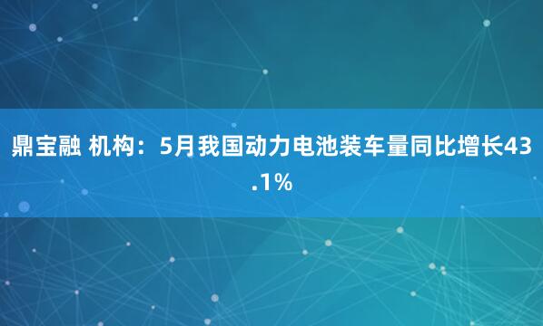 鼎宝融 机构：5月我国动力电池装车量同比增长43.1%
