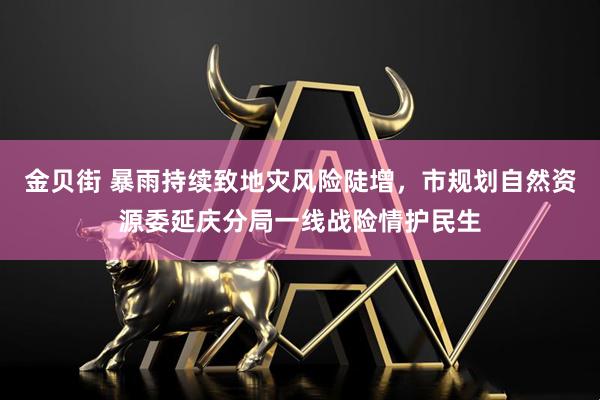 金贝街 暴雨持续致地灾风险陡增，市规划自然资源委延庆分局一线战险情护民生