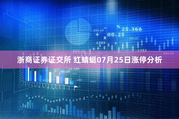 浙商证券证交所 红蜻蜓07月25日涨停分析