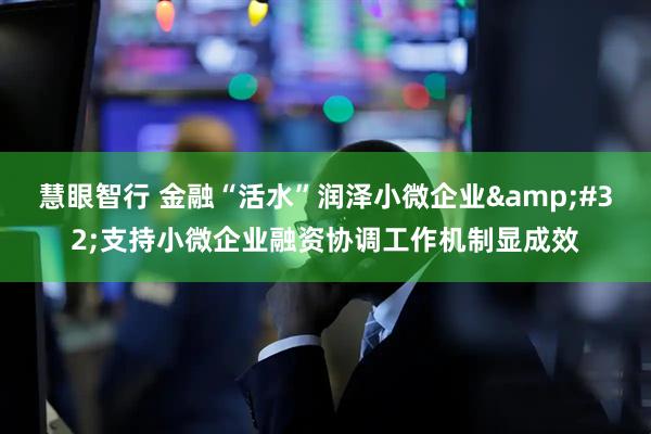 慧眼智行 金融“活水”润泽小微企业&#32;支持小微企业融资协调工作机制显成效
