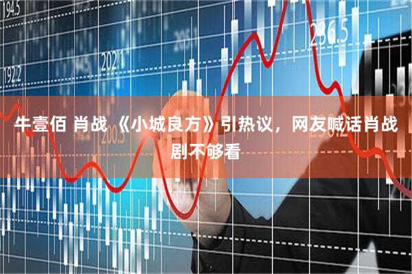 牛壹佰 肖战 《小城良方》引热议，网友喊话肖战剧不够看