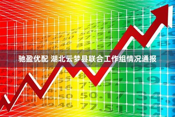 驰盈优配 湖北云梦县联合工作组情况通报