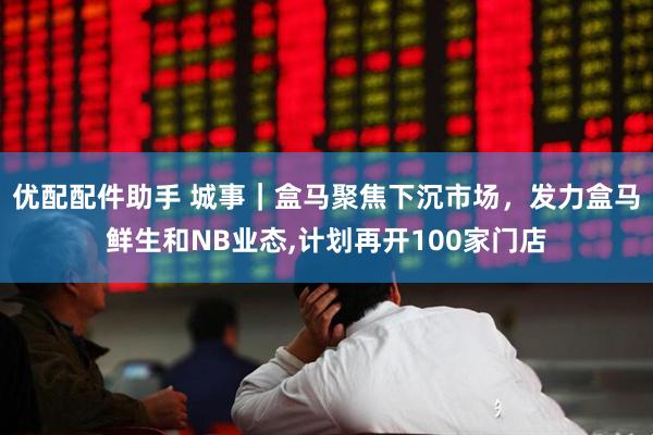 优配配件助手 城事｜盒马聚焦下沉市场，发力盒马鲜生和NB业态,计划再开100家门店