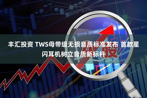 丰汇投资 TWS母带级无损音质标准发布 首款星闪耳机树立音质新标杆