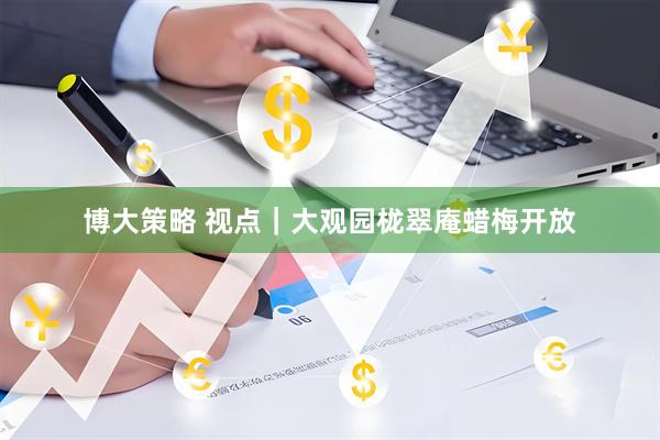 博大策略 视点｜大观园栊翠庵蜡梅开放