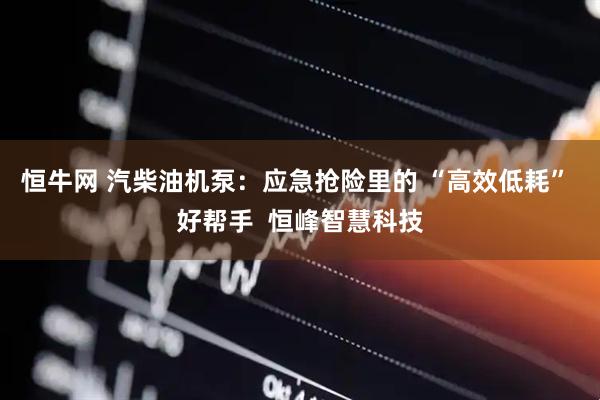 恒牛网 汽柴油机泵：应急抢险里的 “高效低耗” 好帮手  恒峰智慧科技