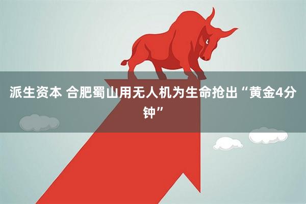 派生资本 合肥蜀山用无人机为生命抢出“黄金4分钟”